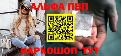 молекула духа Кингисепп